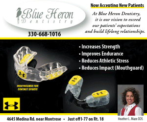 blue heron dentistry flash ad